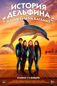  История дельфина: Каникулы на Багамах  смотреть онлайн бесплатно в хорошем качестве лордфильм